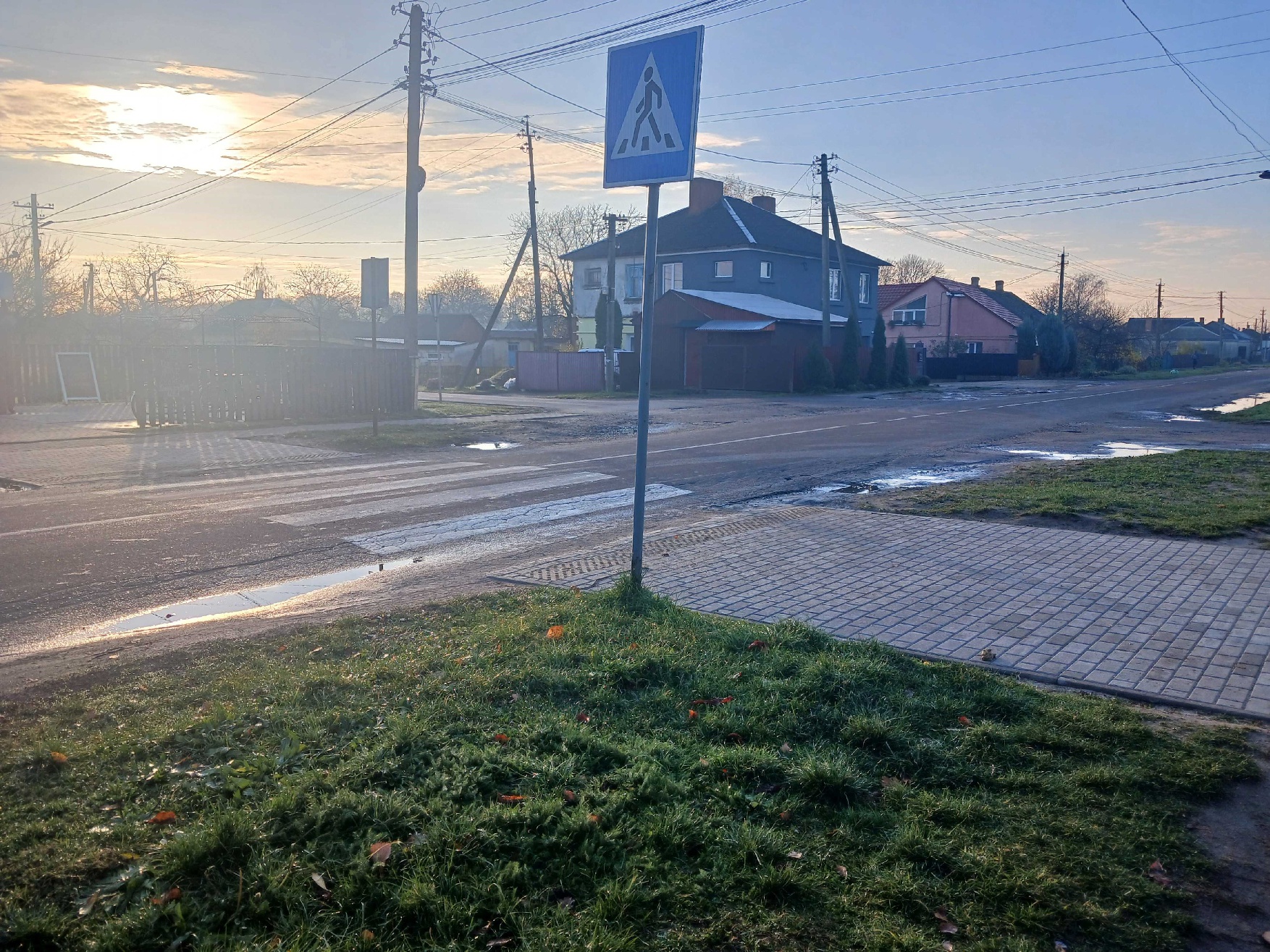 Голоби 1